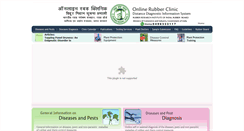 Desktop Screenshot of clinic.rubberboard.org.in